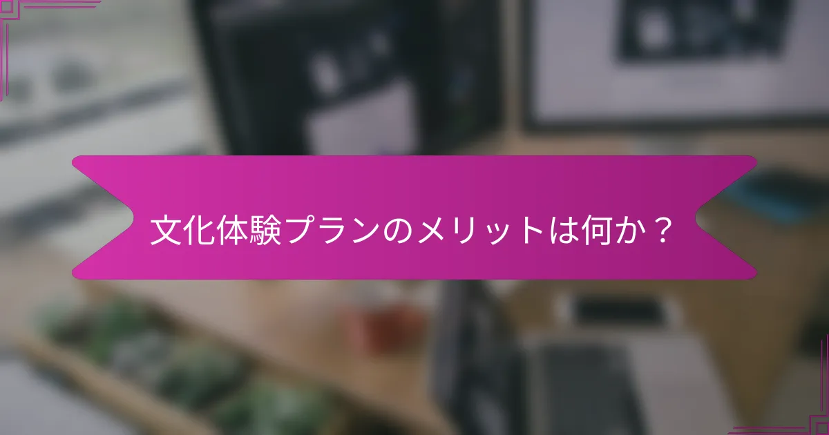 文化体験プランのメリットは何か？